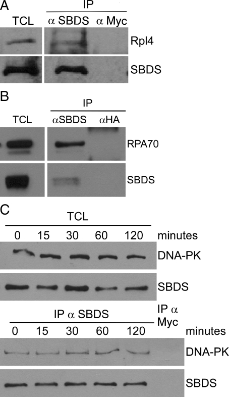 Figure 2.