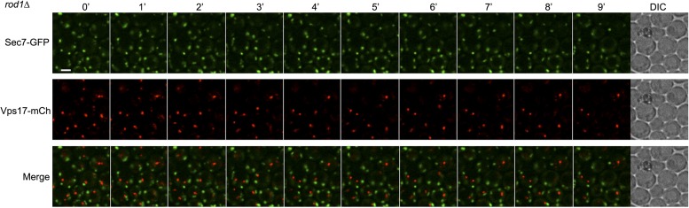 Figure 4—figure supplement 6.