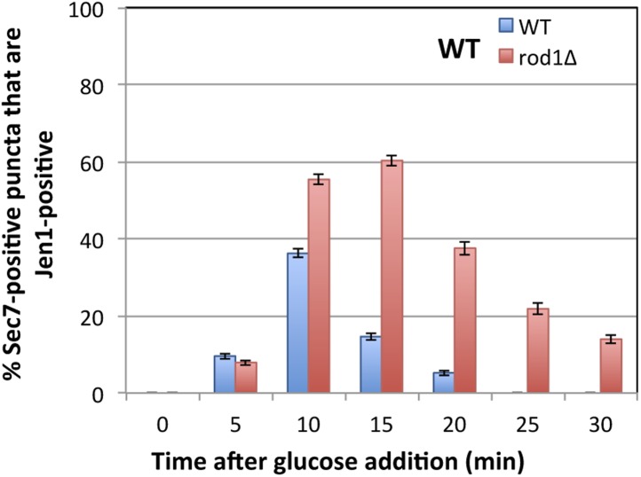 Figure 4—figure supplement 5.