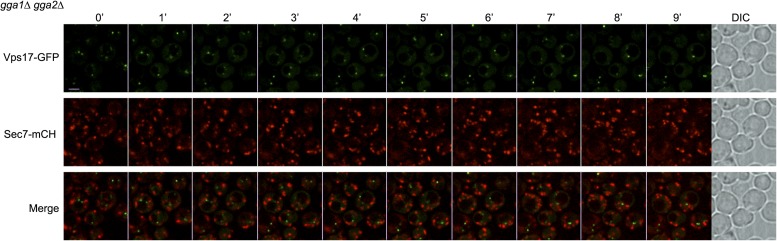 Figure 4—figure supplement 7.