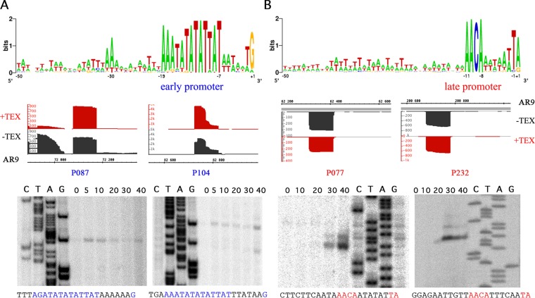 FIG 3 