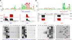 FIG 3