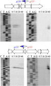 FIG 2