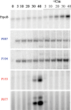 FIG 5