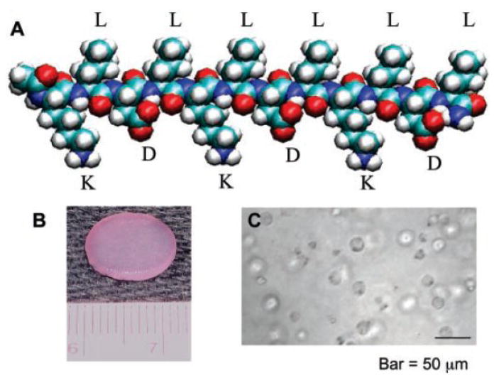 Figure 19