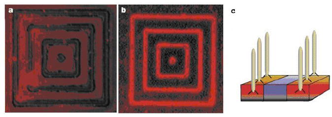 Figure 25