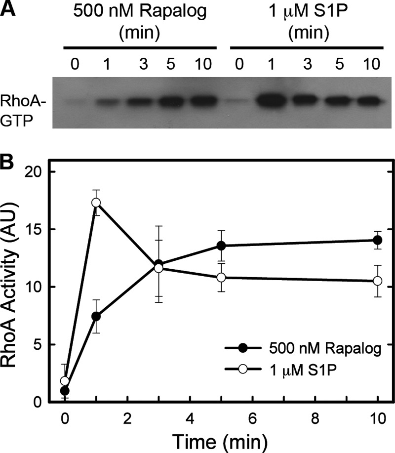 FIGURE 4.
