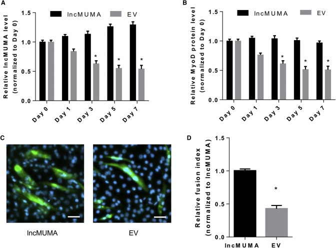 Figure 6