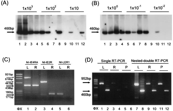 FIG. 6.