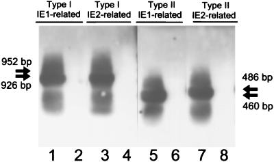 FIG. 5.