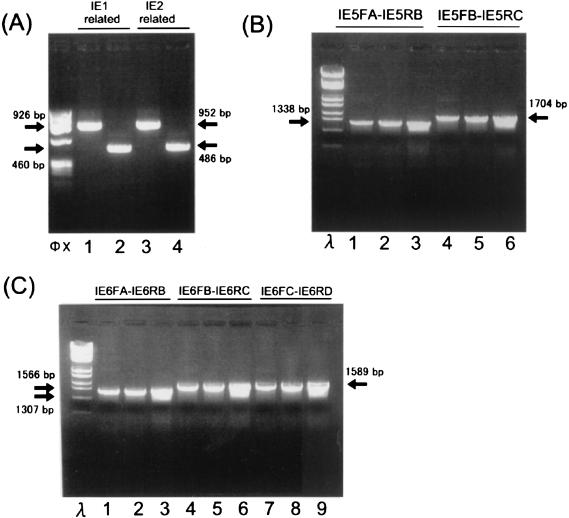 FIG. 4.