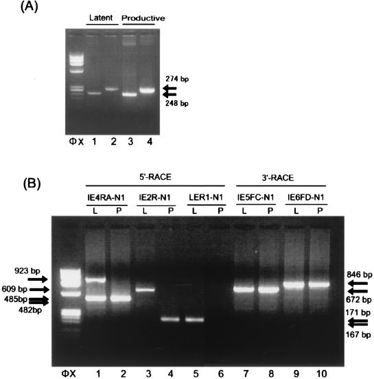 FIG. 2.