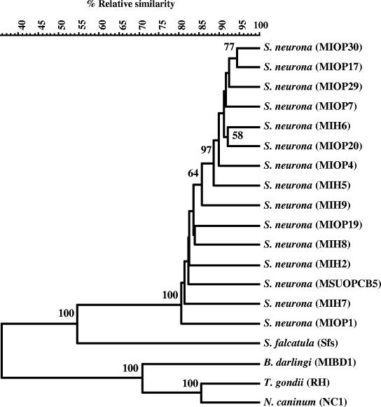 FIG. 1.