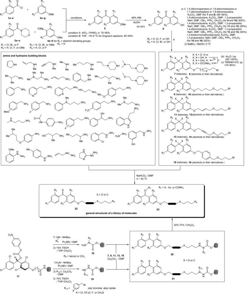 Scheme 1