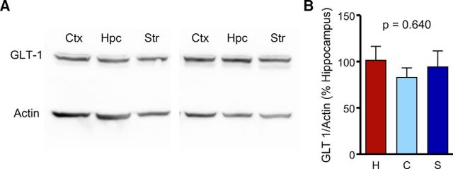 Figure 9.