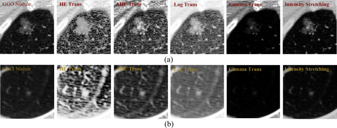 Fig. 7