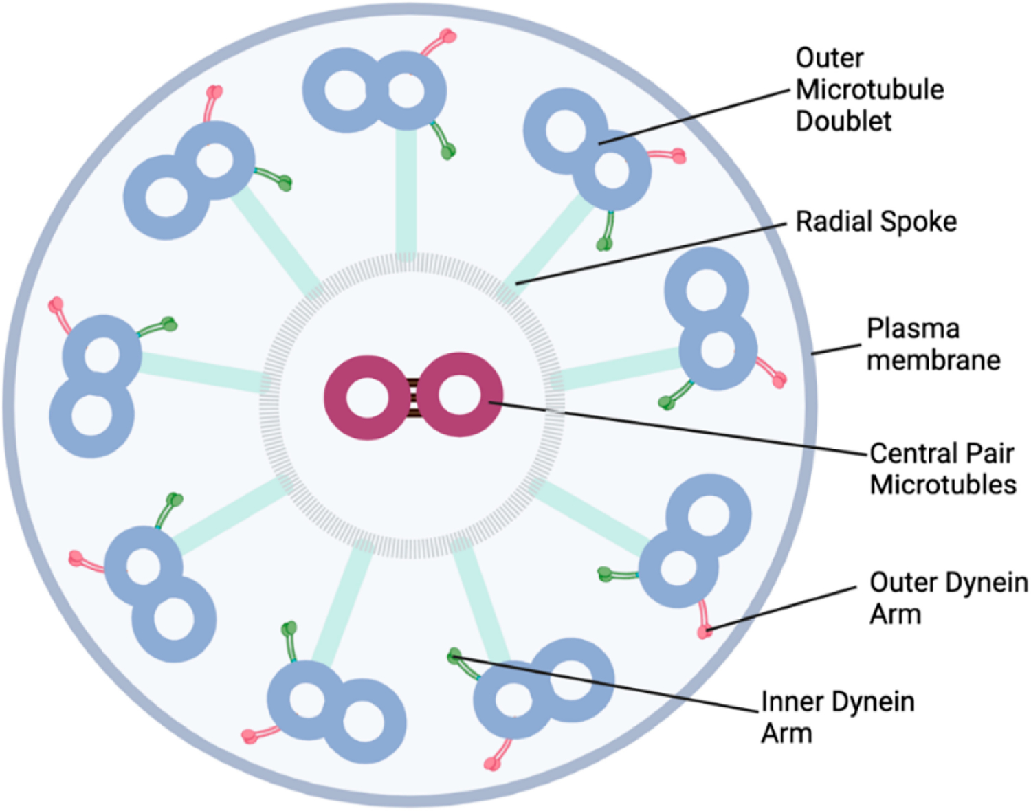 Figure 2.