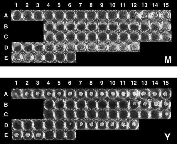 FIG. 2.