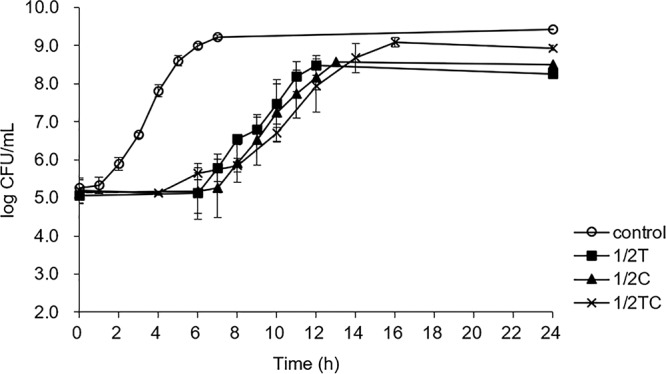 FIG 1