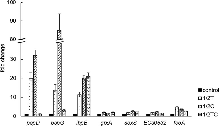 FIG 3