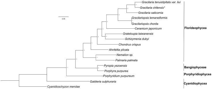 Figure 1.