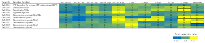 Figure 7