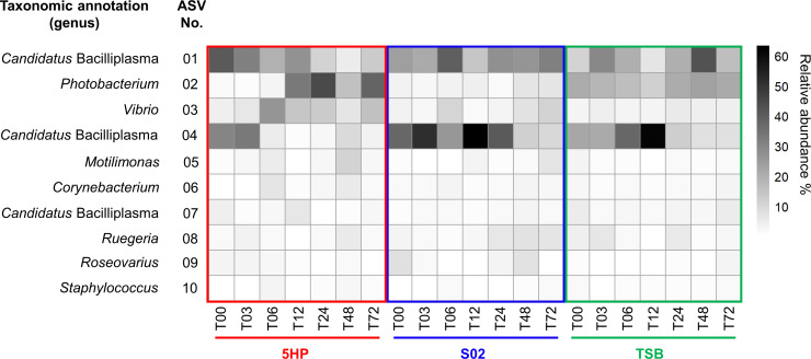 FIG 6