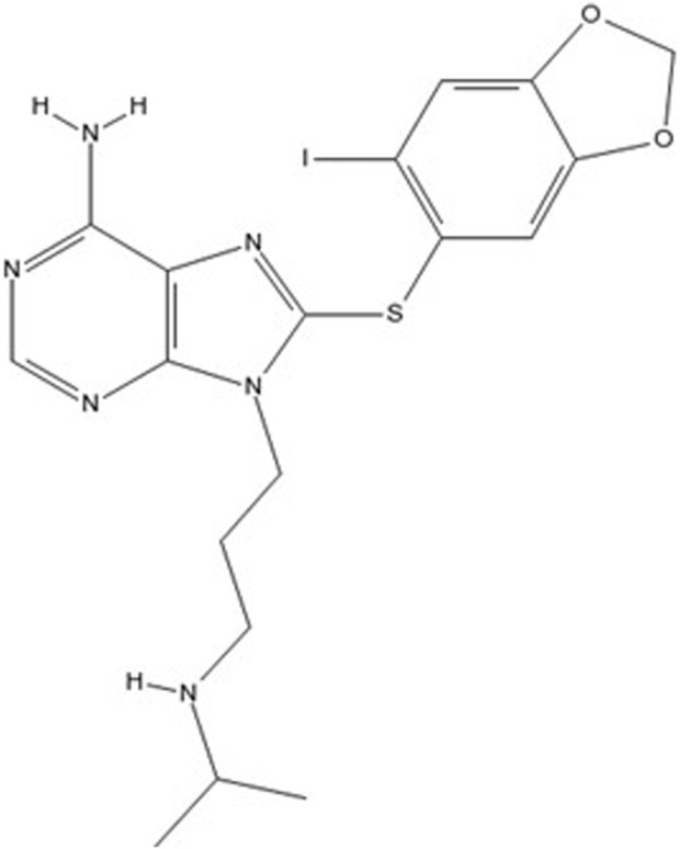 FIGURE 2