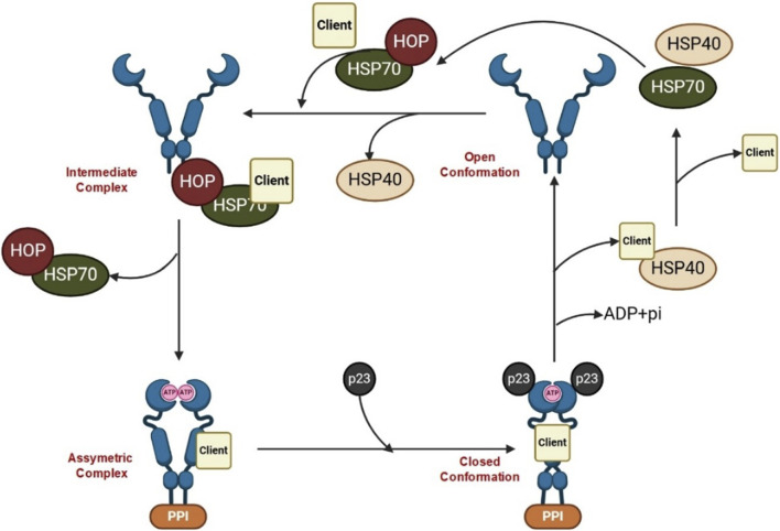 FIGURE 1