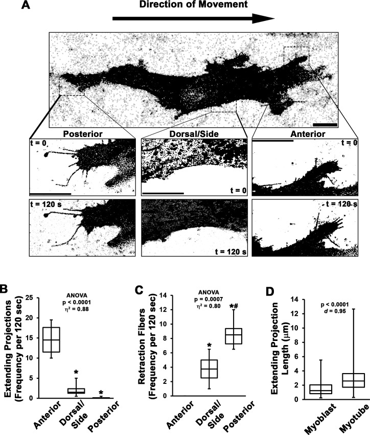 Figure 1—figure supplement 1.