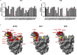 Figure 5