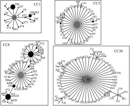 FIG. 1.