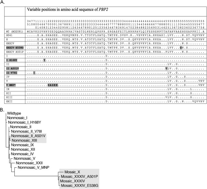 FIG 1