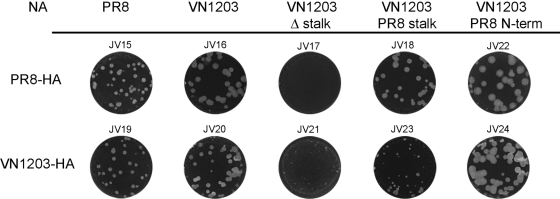 FIG. 2.