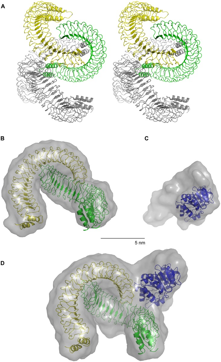 Fig 3