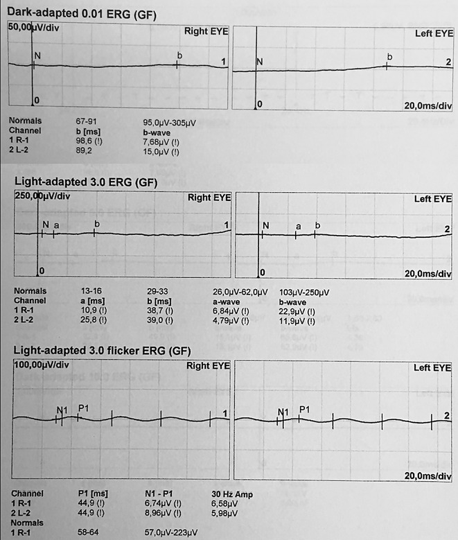 Fig. 7