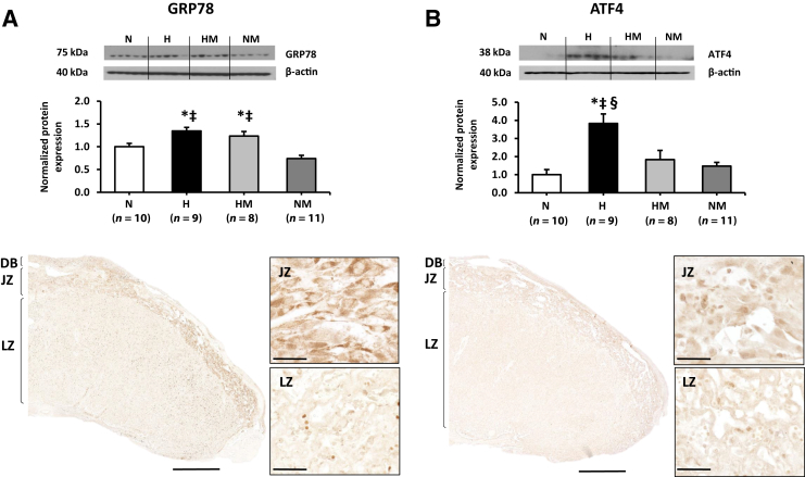 Figure 6