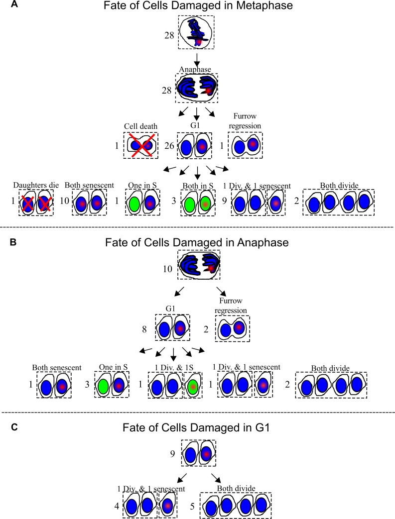 Fig 9