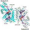 Figure 6: