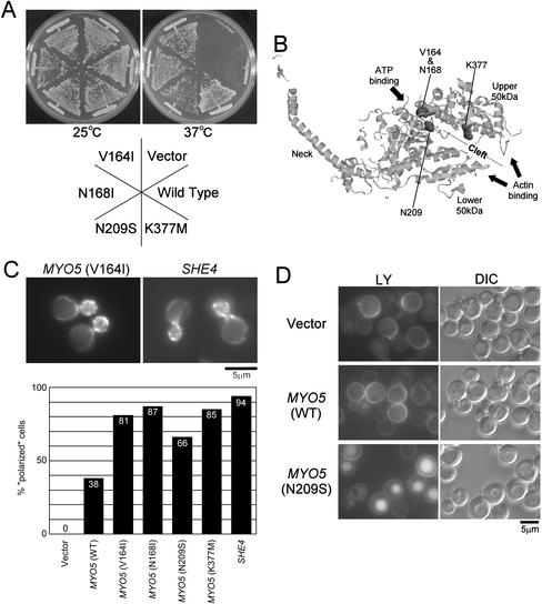 Figure 6.