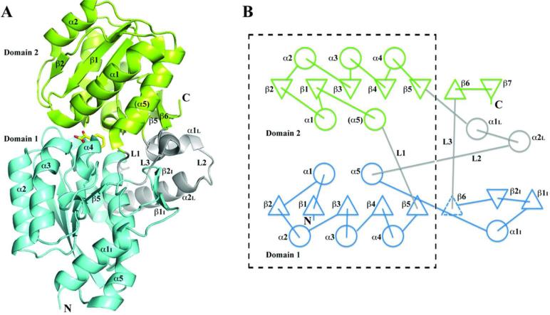 Fig. 3