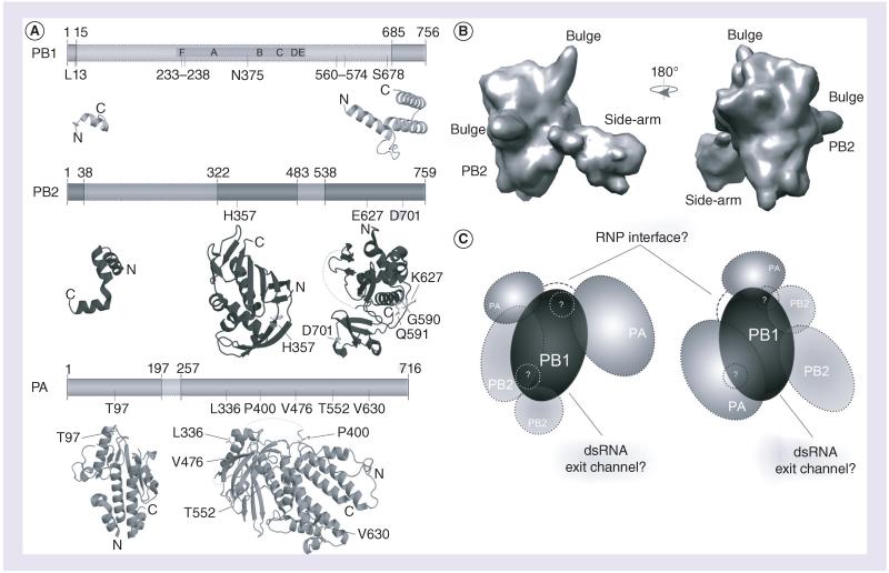 Figure 2