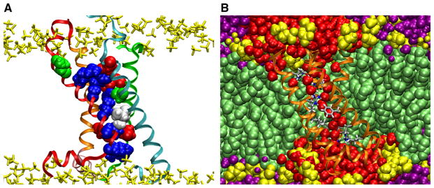 Fig. 4