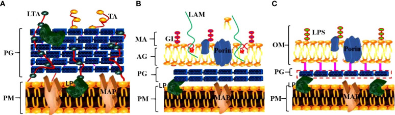 Figure 2