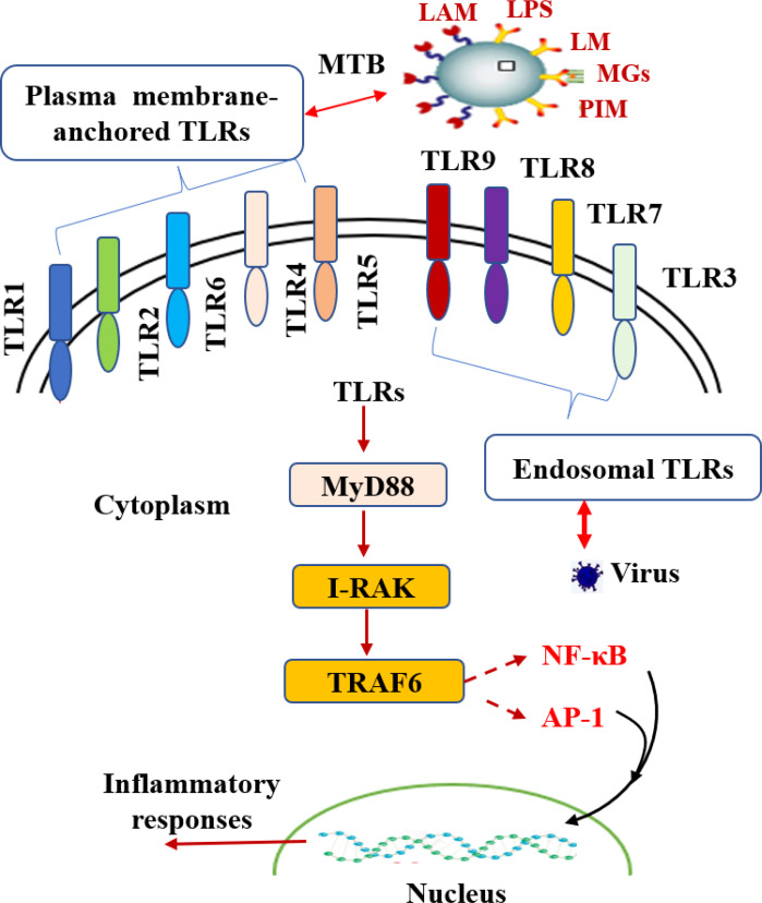 Figure 4