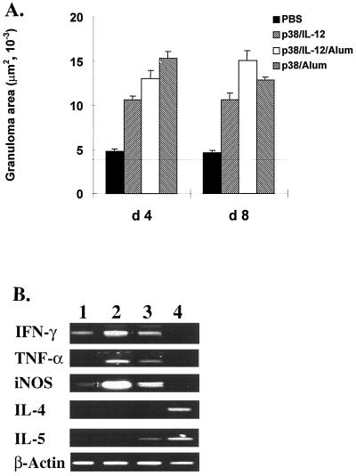 FIG. 5