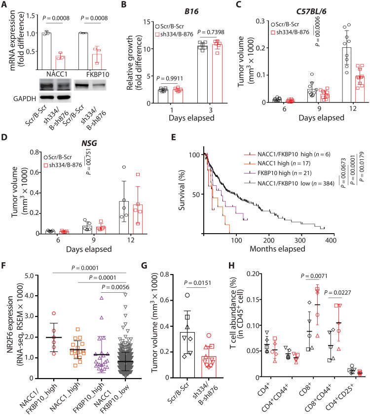 Fig. 6.