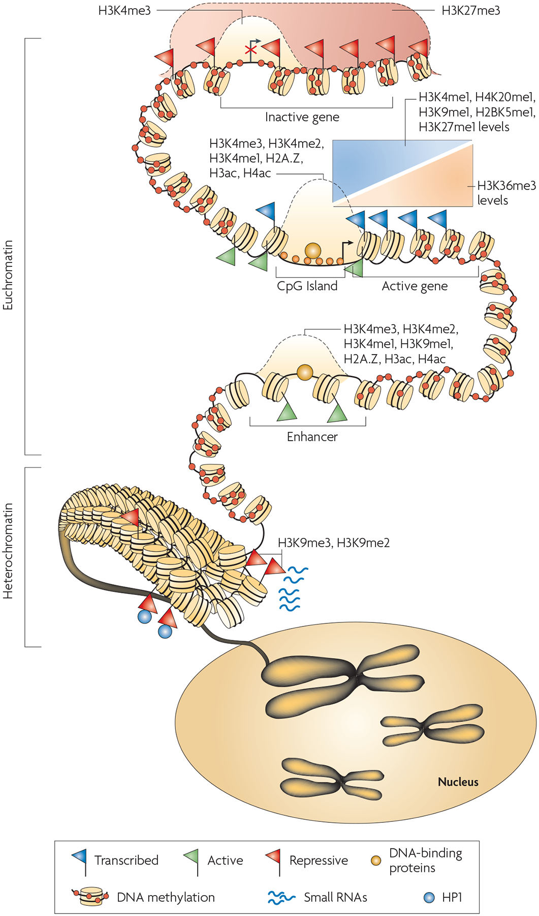 Figure 5 |