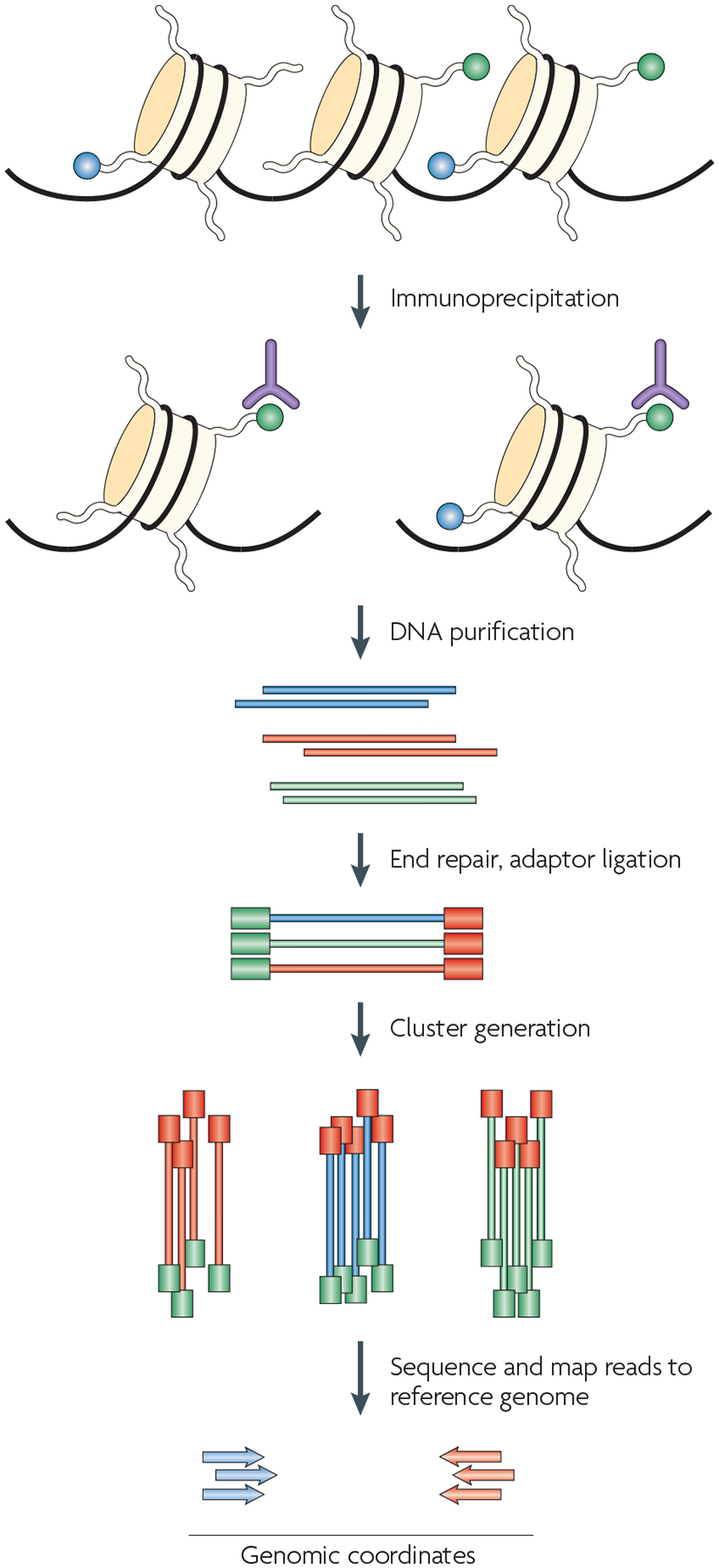 Figure 4 |