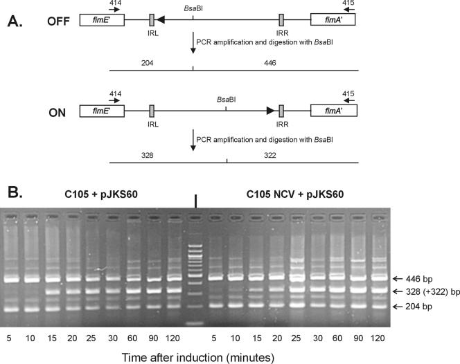 FIG. 2.